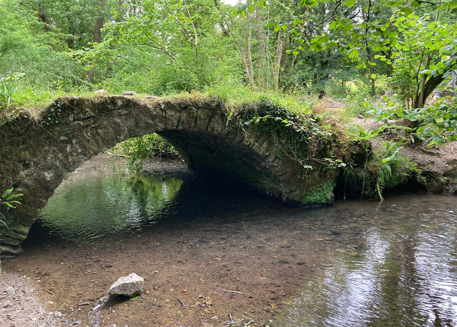 saddleback bridge over stream, relax in the countryside